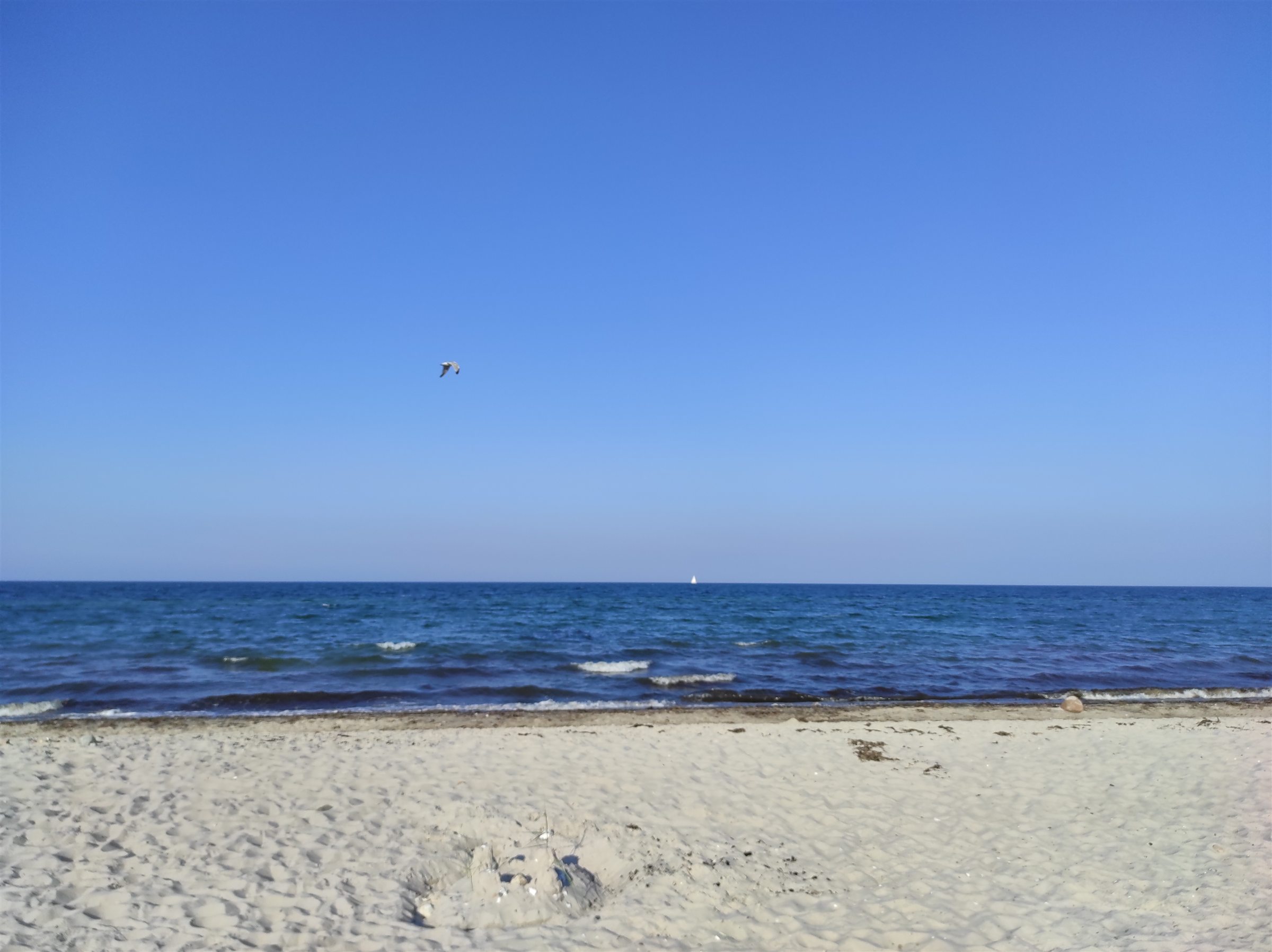 Ruhiger Ostseestrand unter weitem Himmel